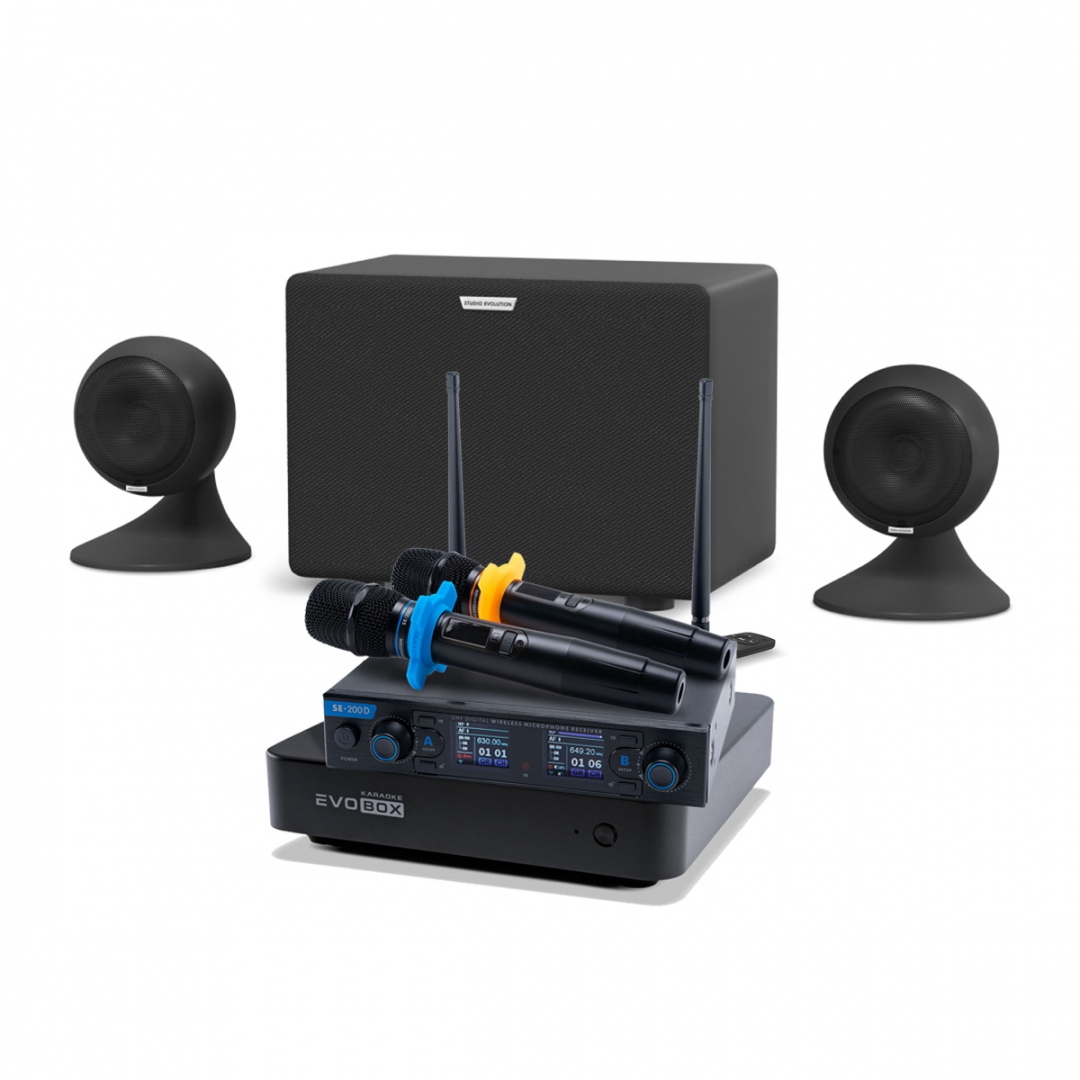 караоке-комплект EVOBOX + EvoSound Sphere 2.1 в Хакасии