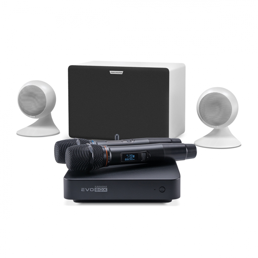 караоке-комплект EVOBOX Classic + EvoSound Sphere 2.1 в Хакасии