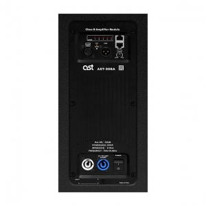 Активная акустическая система AST-308A в Хакасии