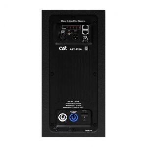Активная акустическая система AST-312A в Хакасии