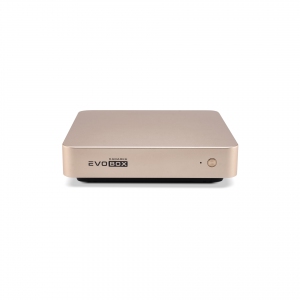 EVOBOX с микрофонами в Хакасии